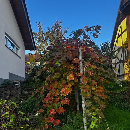 Kleine Auszeit - Ferienwohnung Heideberg - "Rhein" In Den Urlaub Bacharach Eksteriør bilde