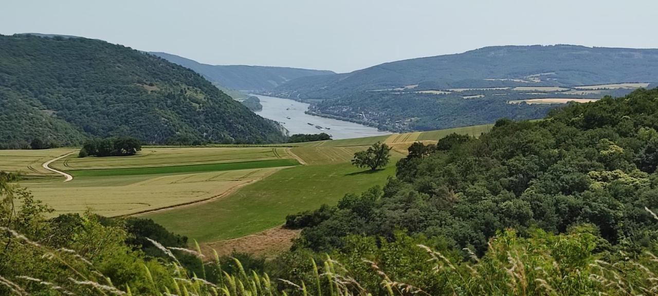 Kleine Auszeit - Ferienwohnung Heideberg - "Rhein" In Den Urlaub Bacharach Eksteriør bilde